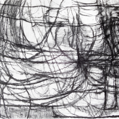 2020 Untitled no. 3 | 100 x 70 cm | charcoal on paper