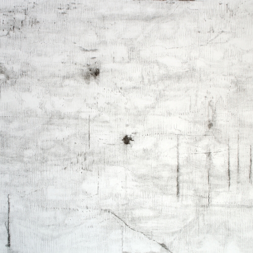 2023 Untitled no.2 100 x 70 cm | charcoal on paper